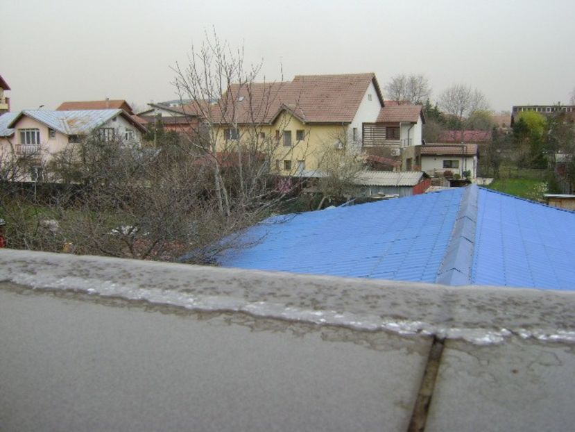 24 mart. 2020 - viscol, vant de 70km/h, 3C - Primavara 2020