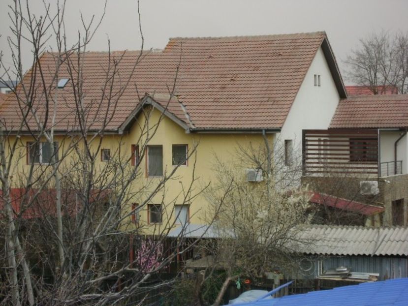 24 mart. 2020 - viscol, vant de 70km/h, 3C - Primavara 2020