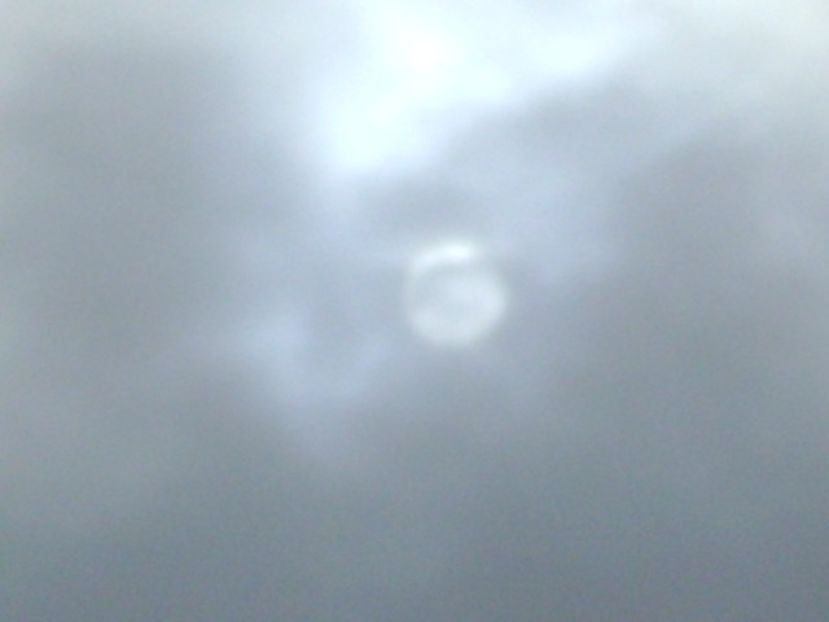 24 mart. 2020 - viscol, vant de 70km/h, 3C - Primavara 2020