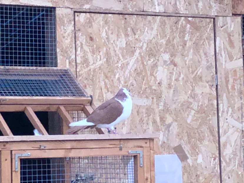  - 00000001 pe afară