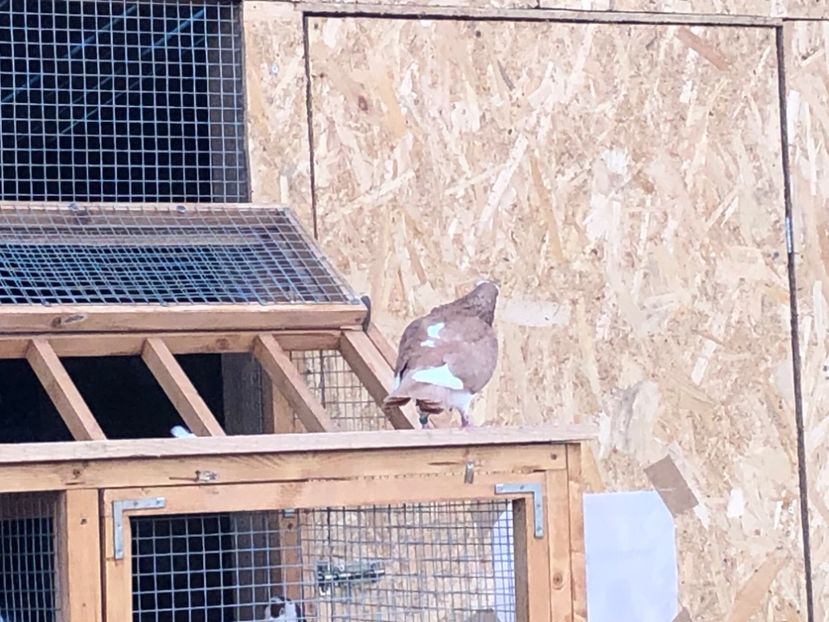  - 00000001 pe afară