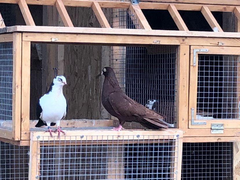  - 00000001 pe afară