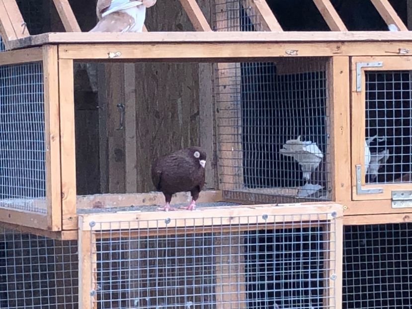  - 00000001 pe afară