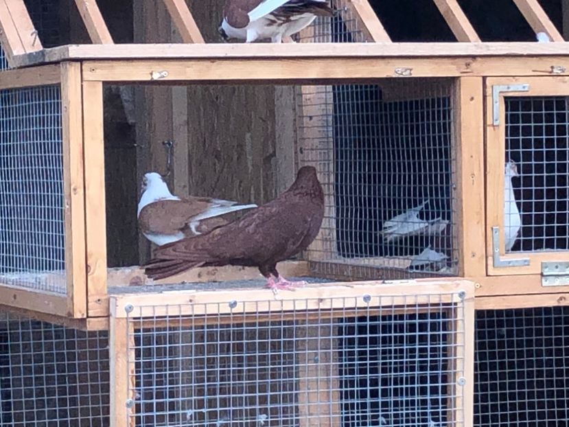  - 00000001 pe afară