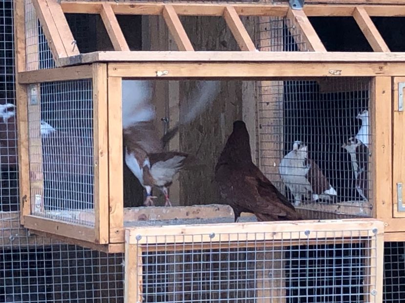  - 00000001 pe afară