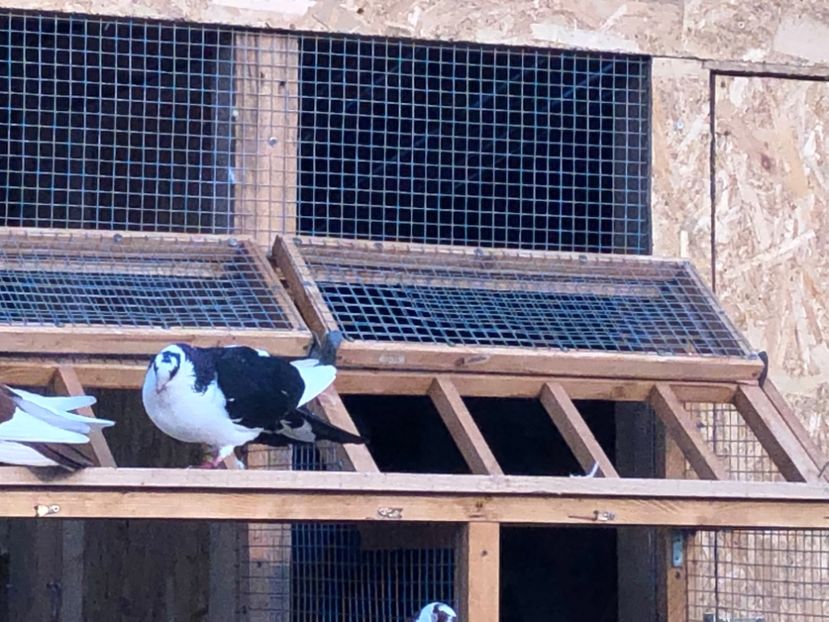  - 00000001 pe afară