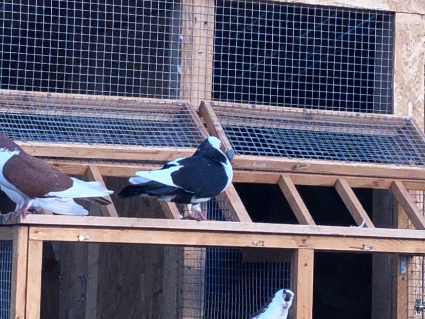  - 00000001 pe afară