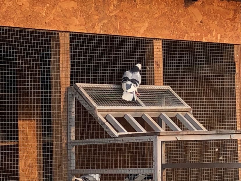  - 00000001 pe afară