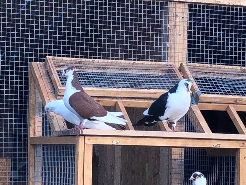  - 00000001 pe afară