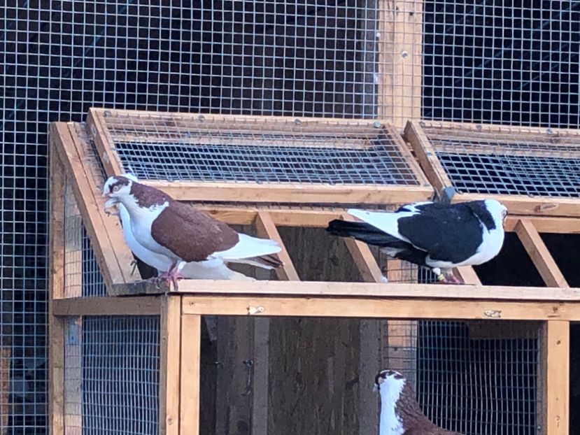  - 00000001 pe afară