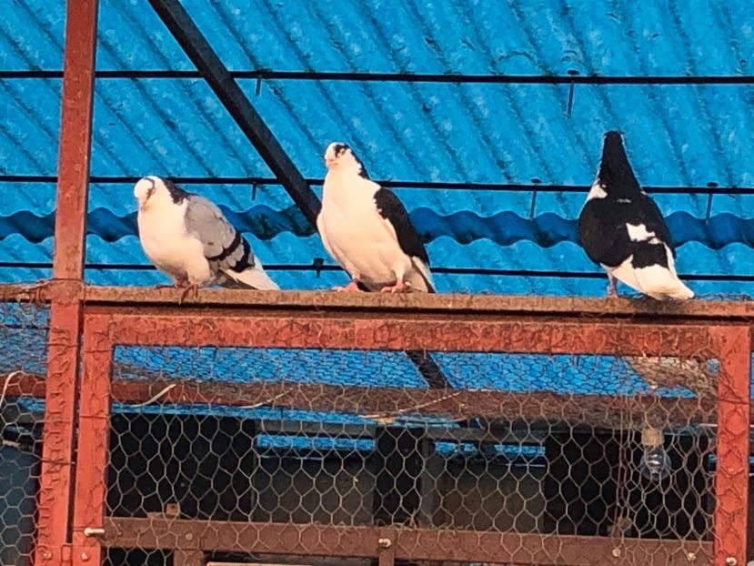  - 00000001 pe afară