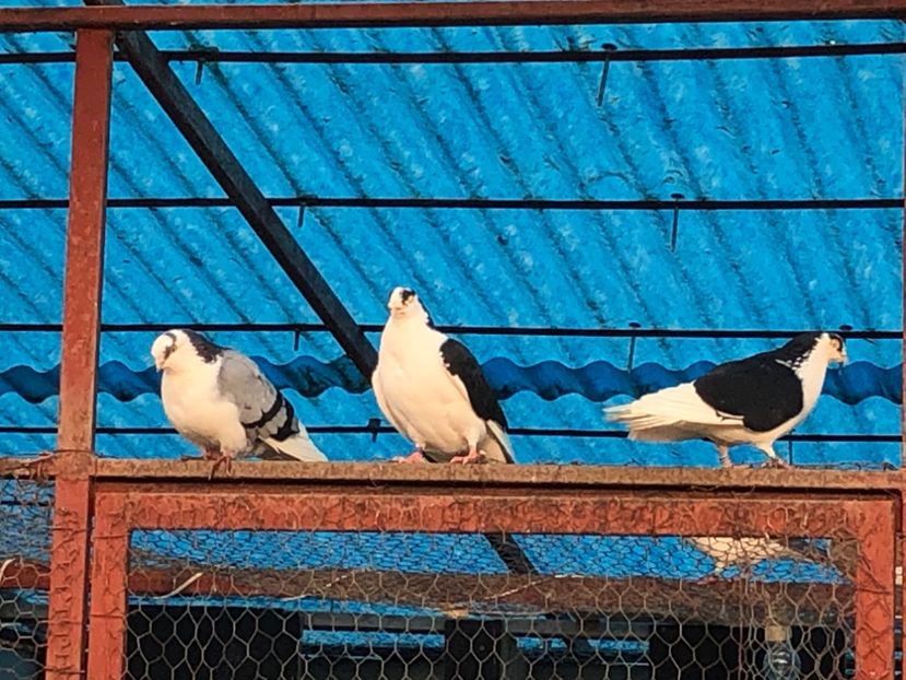  - 00000001 pe afară