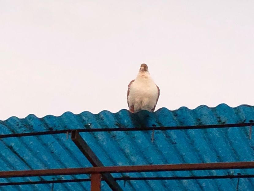  - 00000001 pe afară