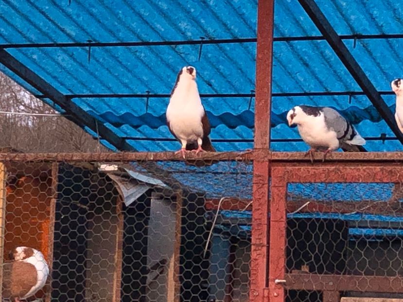  - 00000001 pe afară