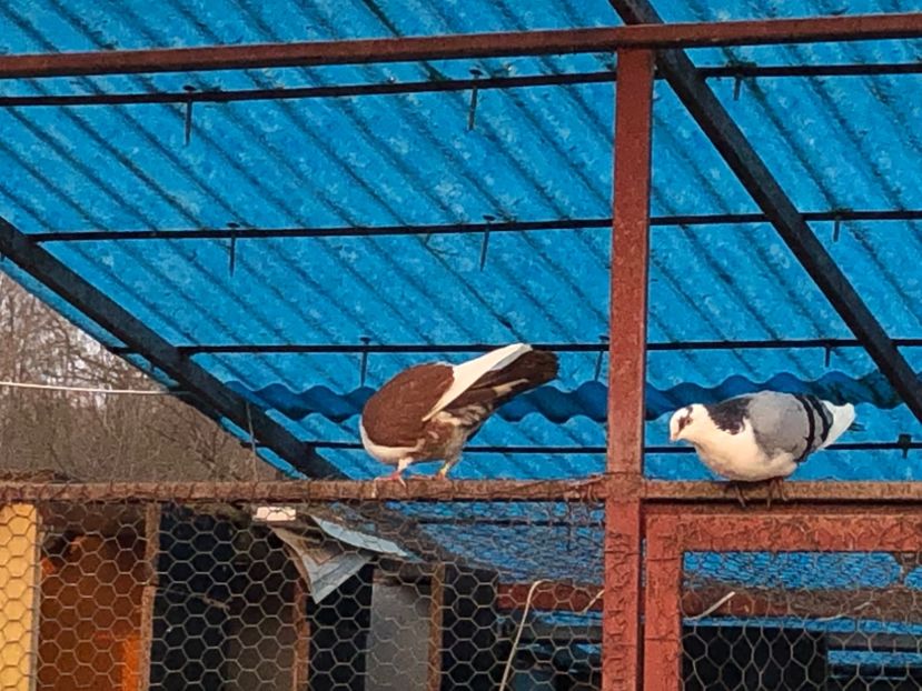  - 00000001 pe afară