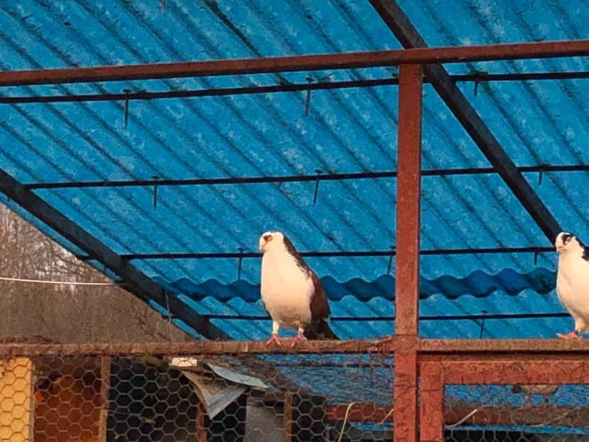  - 00000001 pe afară