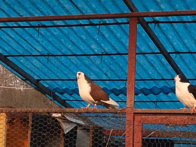  - 00000001 pe afară