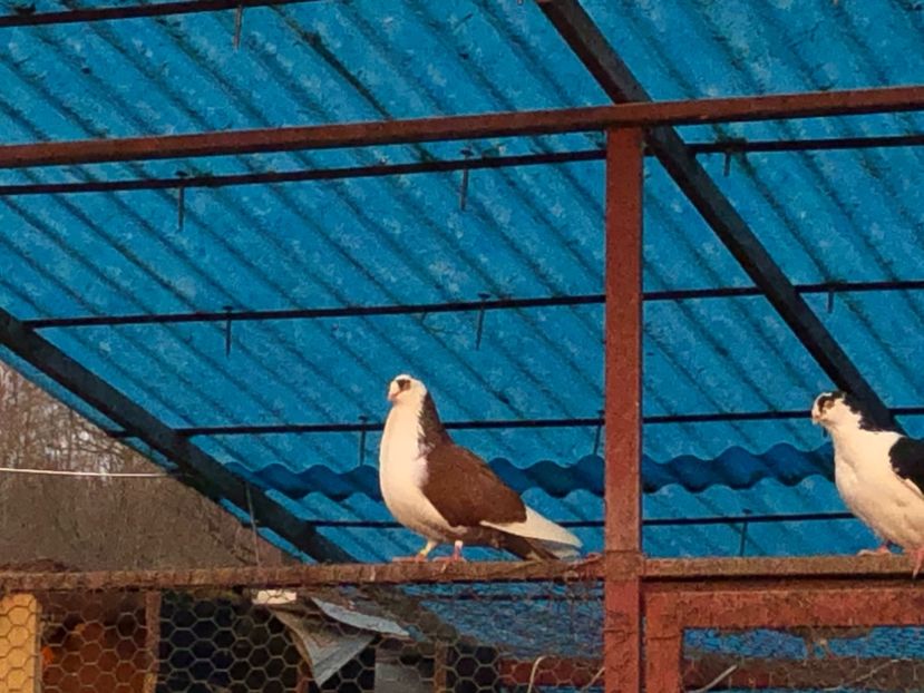  - 00000001 pe afară