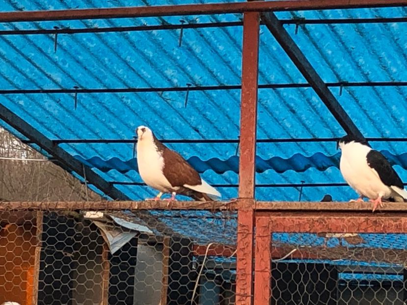  - 00000001 pe afară