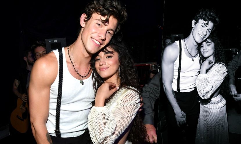 Camila Cabello & Shawn Mendes — bruises - So antisocial - but I dont care