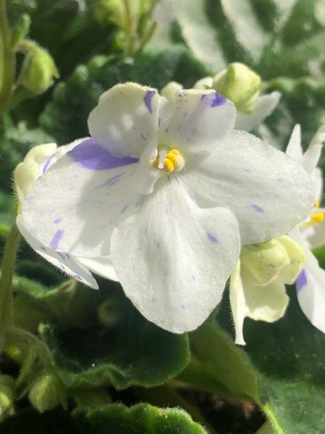 89B6F06D-94D0-468F-95EC-71D3F0F290D2 - Tina-s April Fantasy