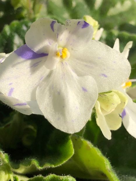 FC17B970-3A85-4ADB-922B-E42832E38AE6 - Tina-s April Fantasy