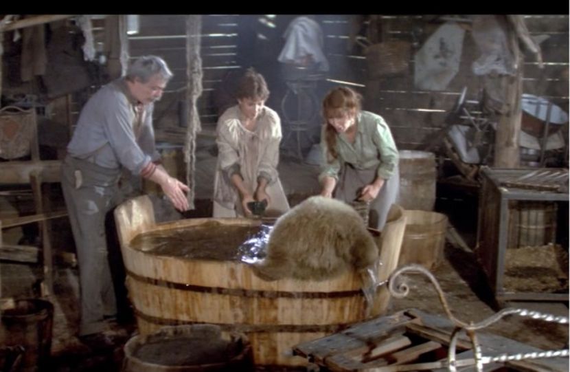 Saltimbancii - Saltimbancii 1981