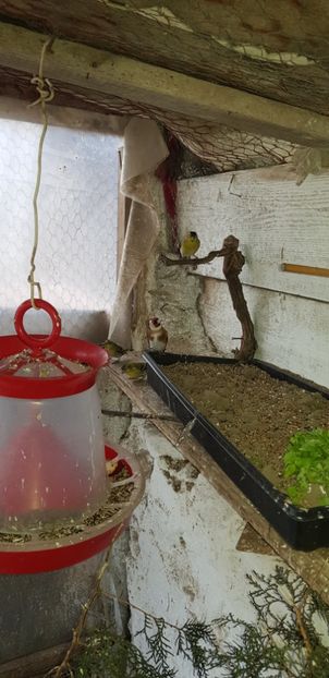  - Indigene 2019-2020