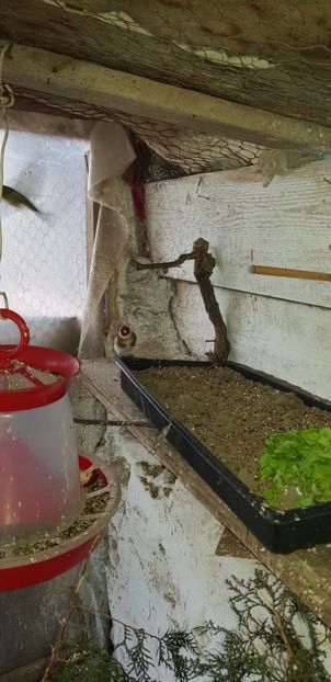  - Indigene 2019-2020