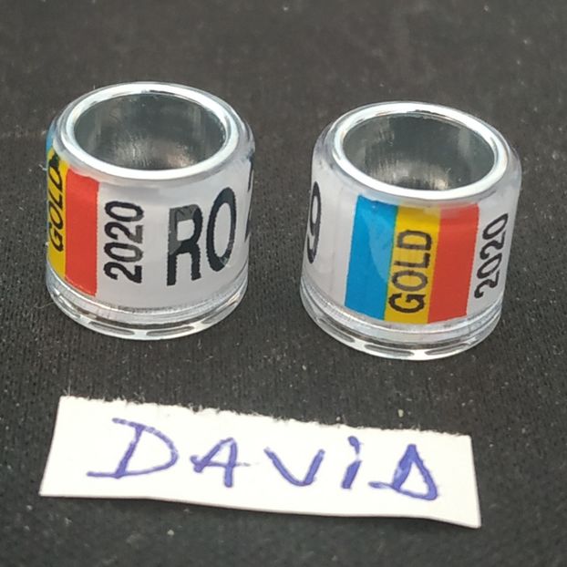 2020-alb gold 8mm....-1 leu - Inele porumbei 2020 de vanzare