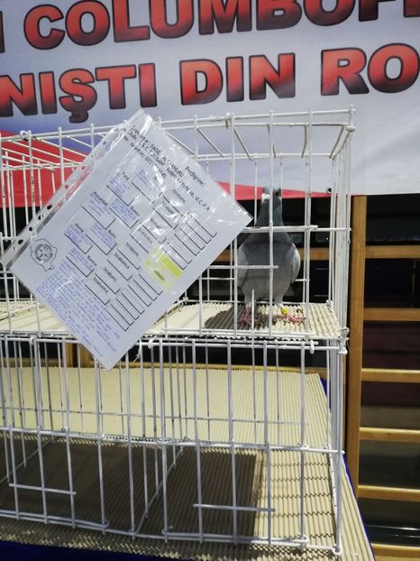  - 2020-27-martie-Diverse