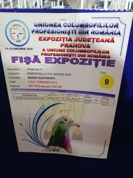  - 2020-27-martie-Diverse