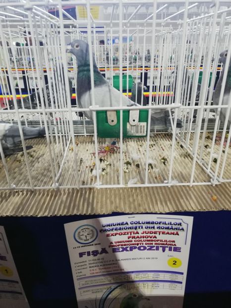  - 2020-27-martie-Diverse