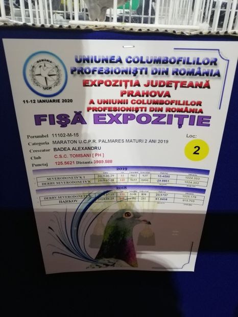  - 2020-27-martie-Diverse