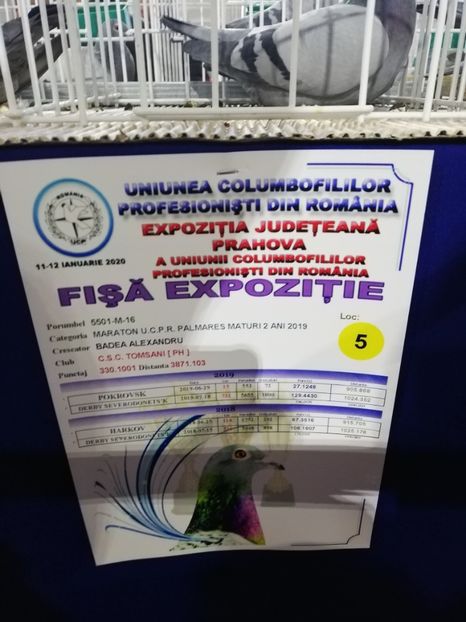  - 2020-27-martie-Diverse