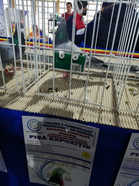  - 2020-27-martie-Diverse