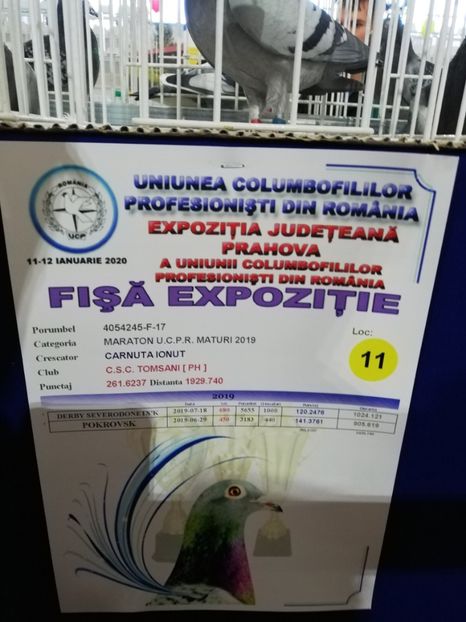  - 2020-27-martie-Diverse