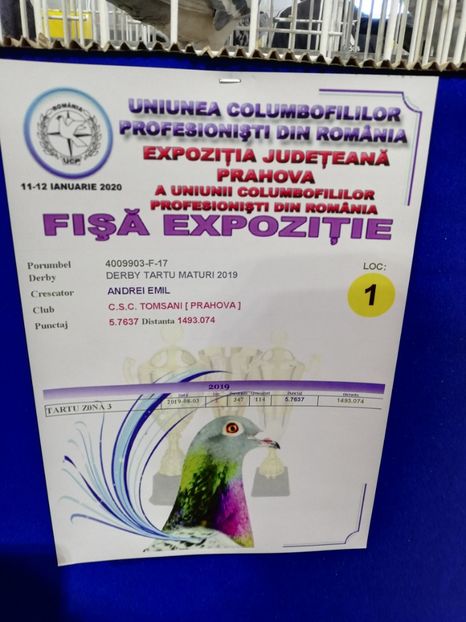  - 2020-27-martie-Diverse