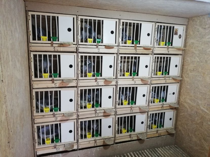  - 2020-27-martie-Diverse