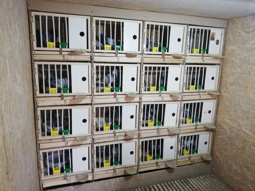  - 2020-27-martie-Diverse