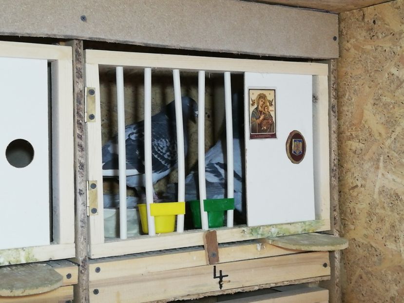  - 2020-27-martie-Diverse