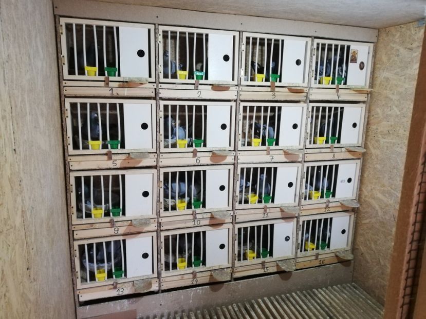  - 2020-27-martie-Diverse