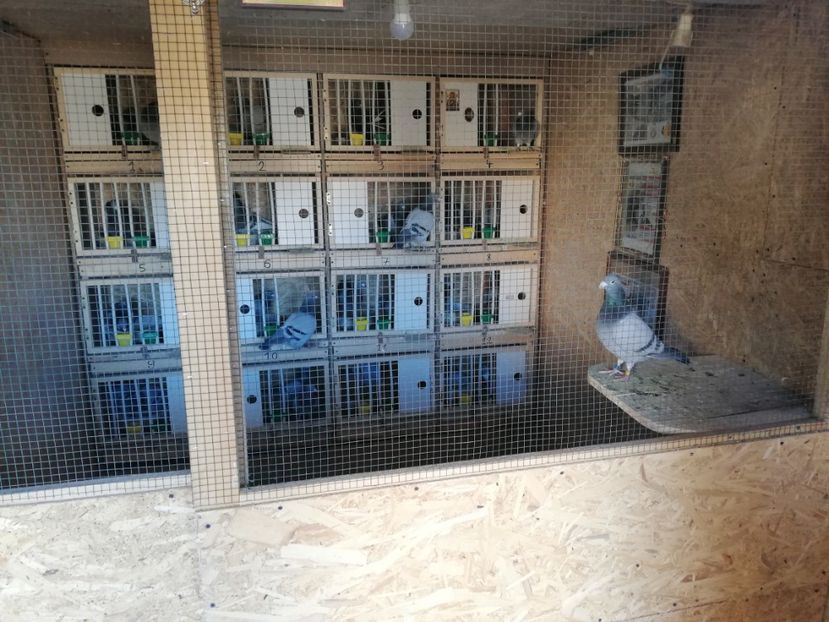  - 2020-27-martie-Diverse