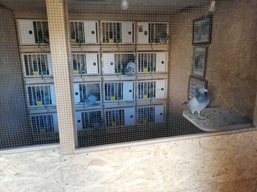  - 2020-27-martie-Diverse