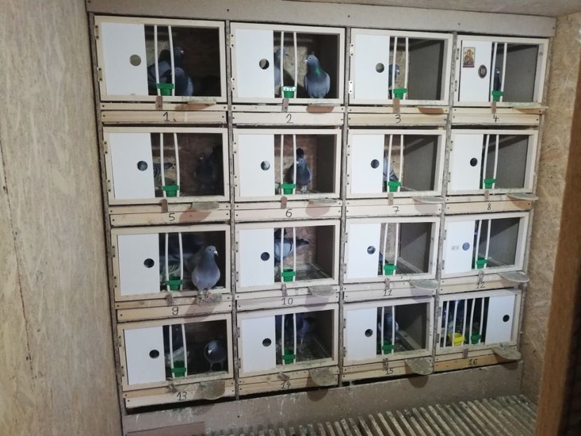  - 2020-27-martie-Diverse