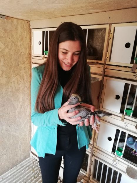  - 2020-27-martie-Diverse