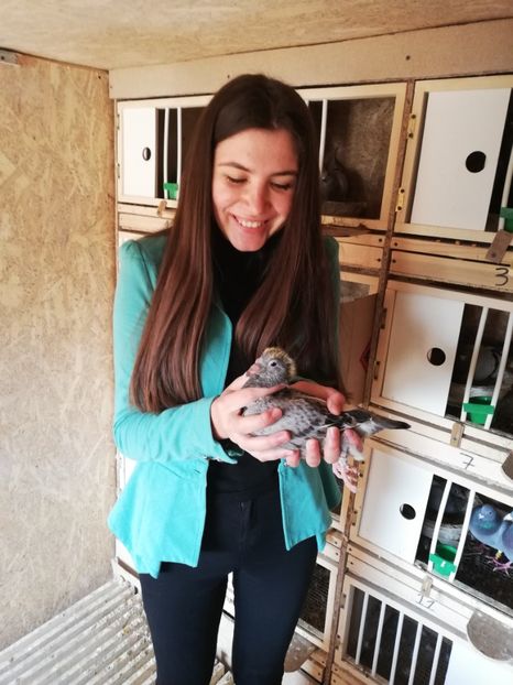  - 2020-27-martie-Diverse