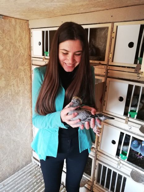  - 2020-27-martie-Diverse