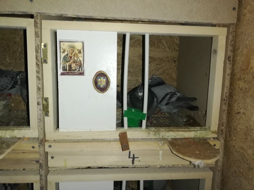  - 2020-27-martie-Diverse