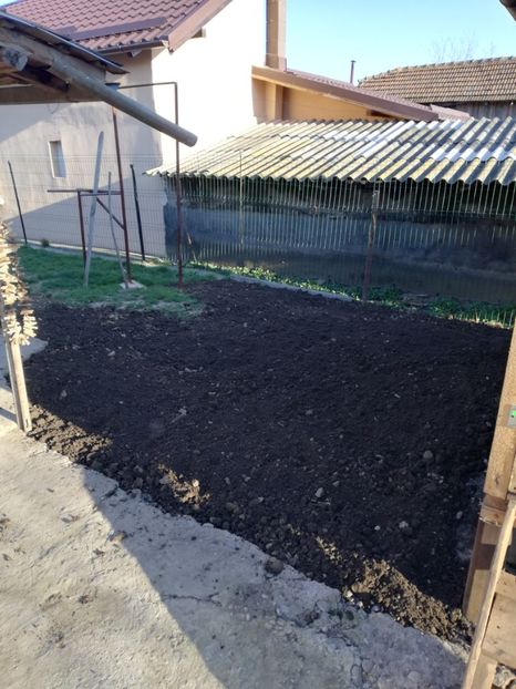  - 2020-Crescatorie Pui